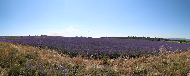 IMG_0260_panorama.jpg