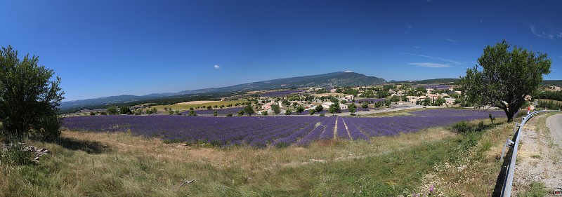 IMG_0278_panorama.jpg