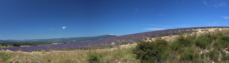 IMG_0283_panorama.jpg