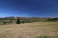 thn_IMG_0300.jpg