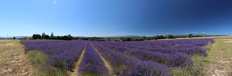 IMG_0343_panorama.jpg