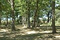 thn_DSC_3458.jpg
