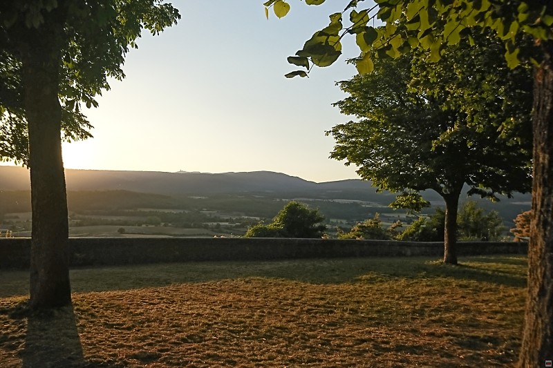 DSC_3501.jpg