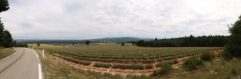 IMG_0422_panorama.jpg