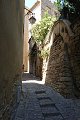 thn_DSC_3550.jpg