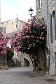 thn_IMG_0808.jpg
