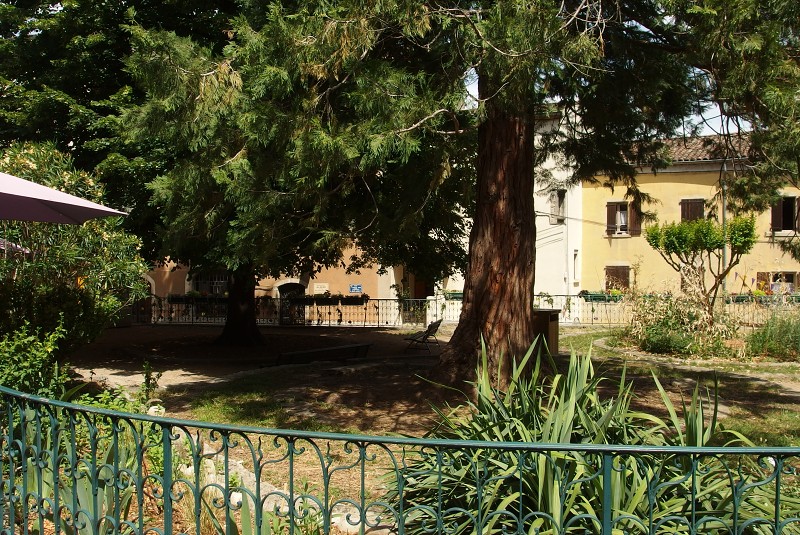 P6240054.jpg