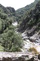 thn_IMG_0890.jpg
