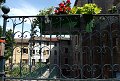 thn_P6240057.jpg