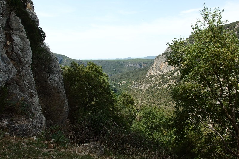P6250109.jpg