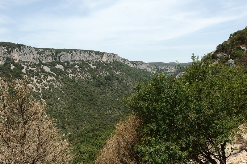 P6250116.jpg