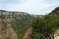 thn_P6250116.jpg