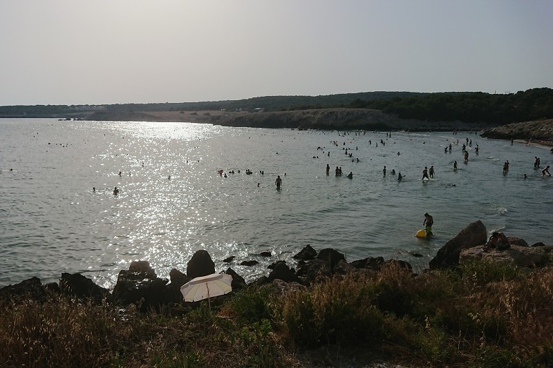 DSC_1027.jpg