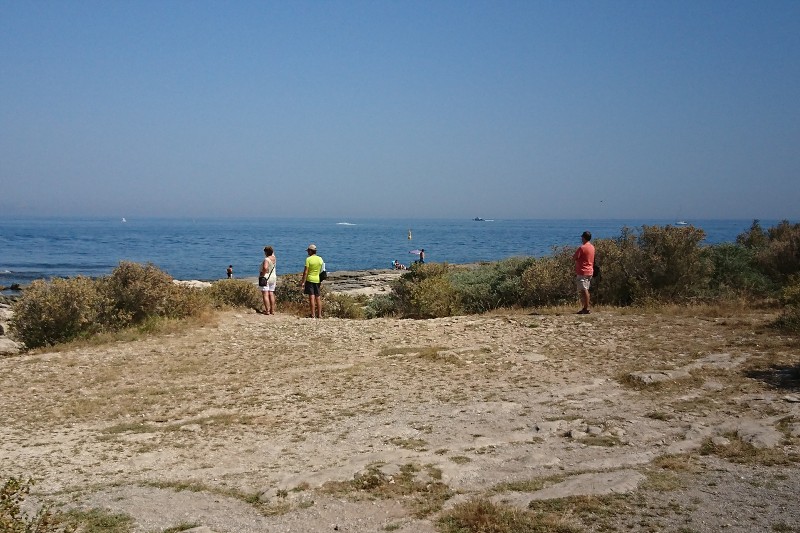 DSC_1366.jpg