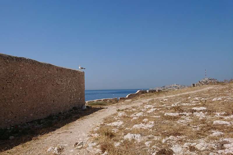 DSC_1052.jpg