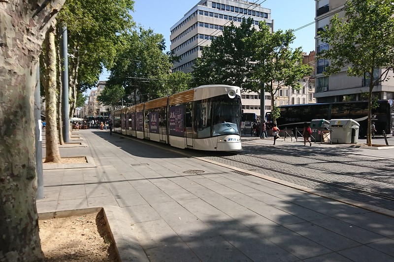 DSC_1443.jpg