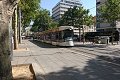 thn_DSC_1443.jpg