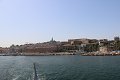 thn_IMG_0972.jpg
