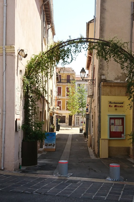 DSC_1451.jpg