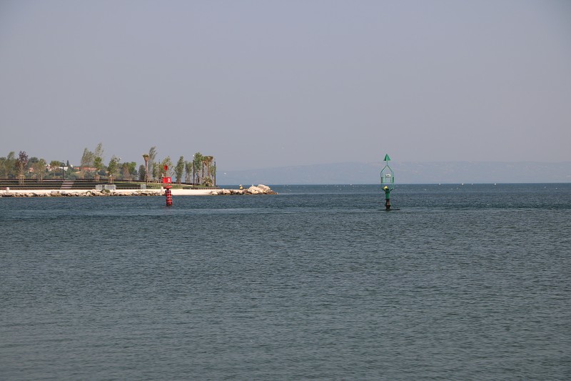 IMG_1136.jpg
