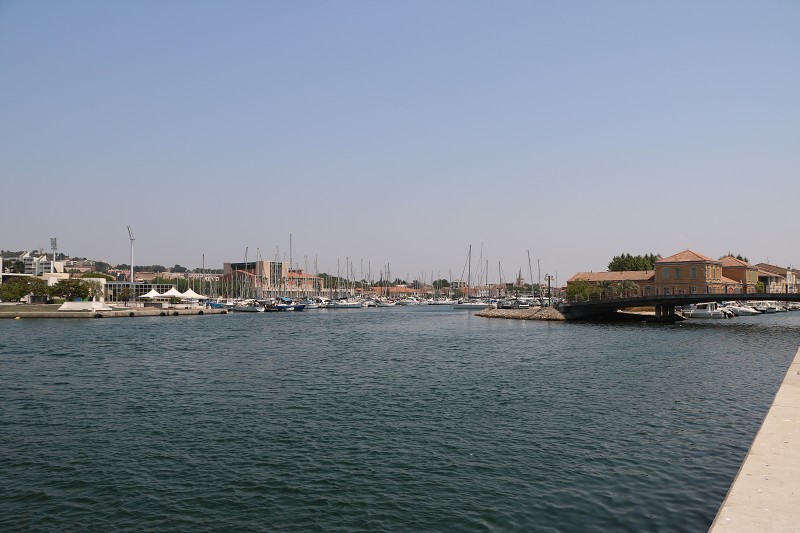 IMG_1142.jpg