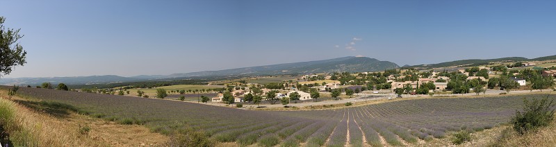 IMG_1178_panorama.jpg