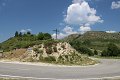 thn_IMG_1228.jpg