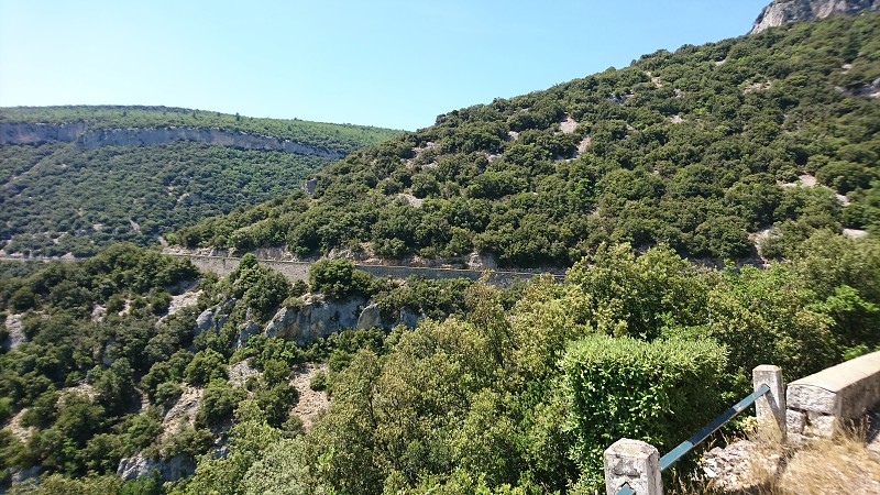 DSC_1531.jpg