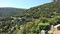 thn_DSC_1531.jpg