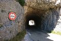 thn_DSC_1541.jpg