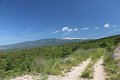 thn_IMG_1375.jpg