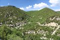 thn_IMG_1391.jpg