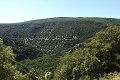 thn_P7040245.jpg