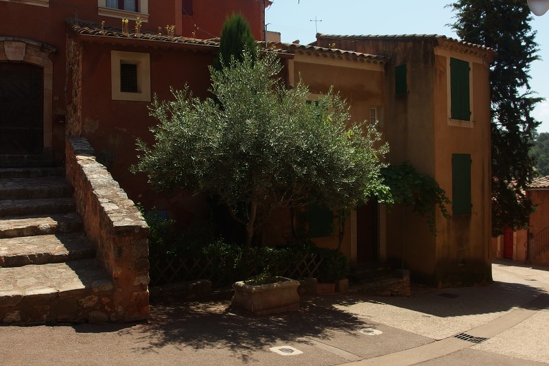 P7050271.jpg