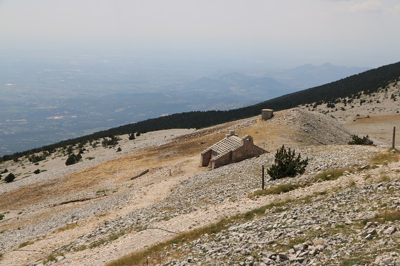 IMG_1495.jpg