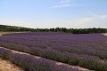 thn_IMG_1538.jpg