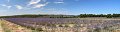 thn_IMG_1541_panorama.jpg