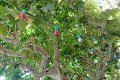 thn_DSC_1108.jpg