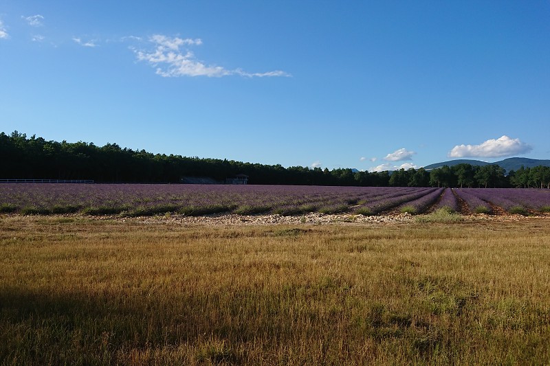 DSC_1119.jpg