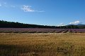 thn_DSC_1119.jpg