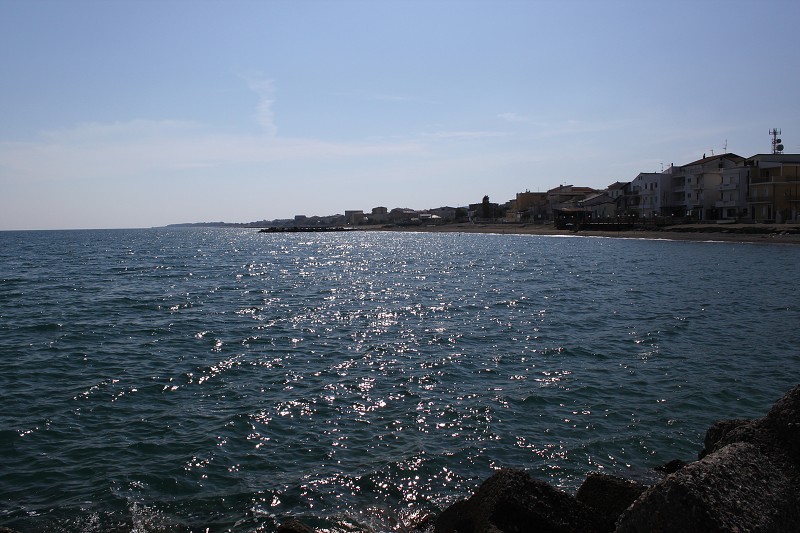 IMG_0529.jpg