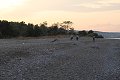 thn_IMG_0569.jpg