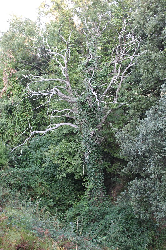 IMG_0616.jpg