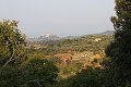 thn_IMG_0619.jpg