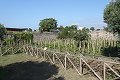 thn_IMG_0771.jpg