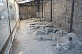 thn_IMG_0772.jpg