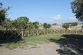 thn_IMG_0774.jpg