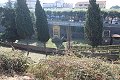 thn_IMG_0775.jpg