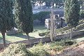 thn_IMG_0777.jpg