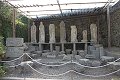 thn_IMG_0783.jpg